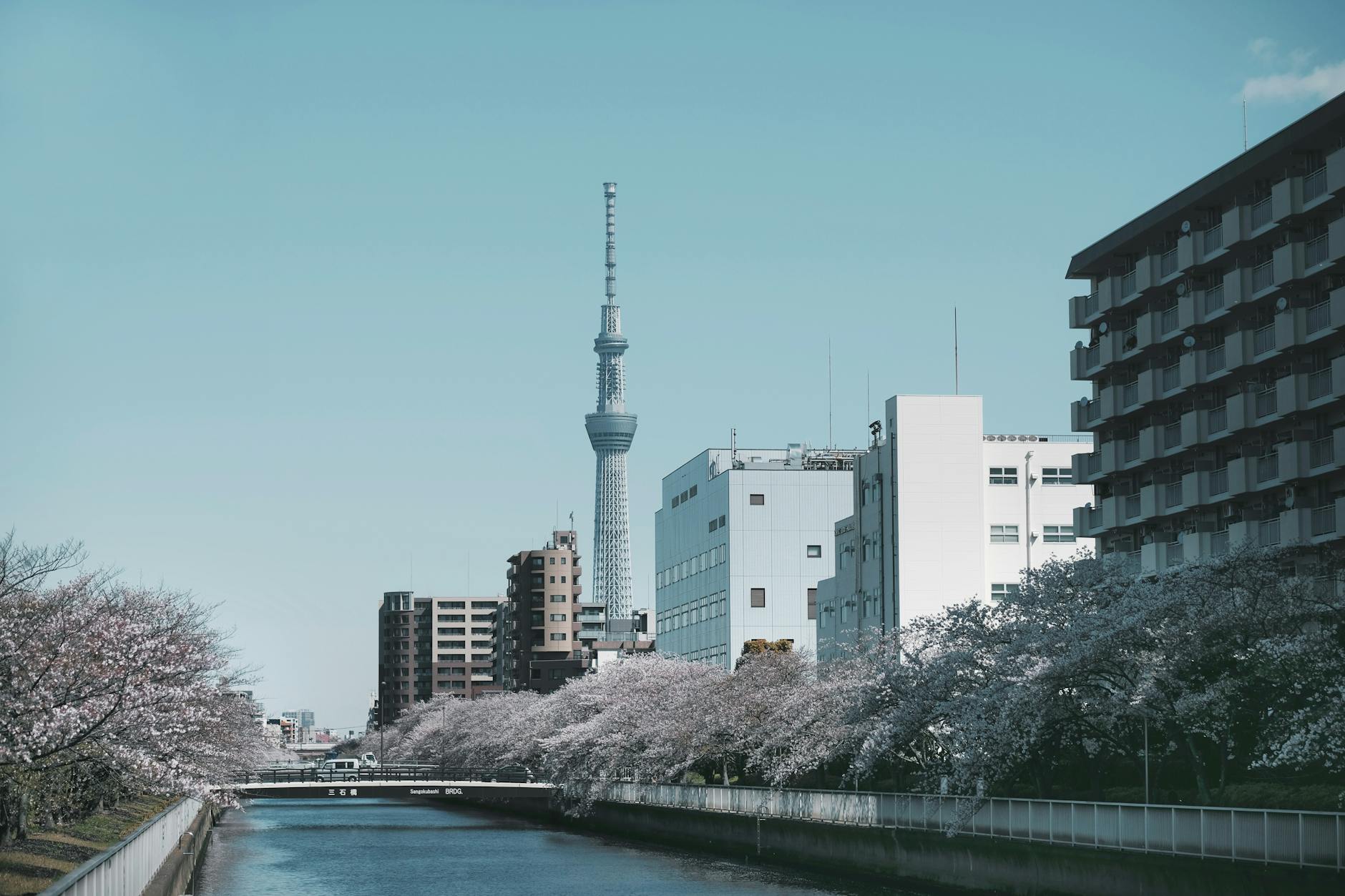 river near a city